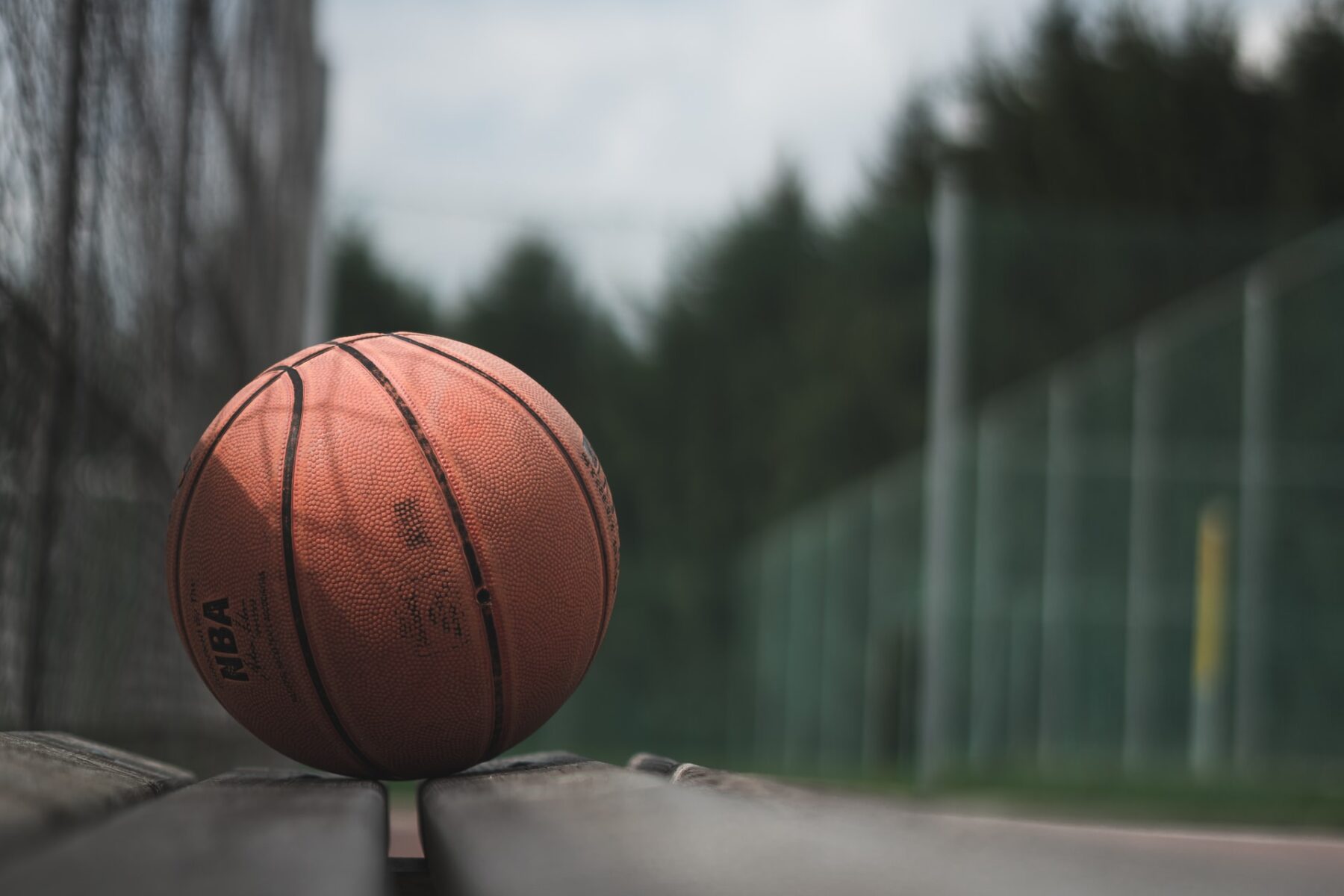 All About Sports Fans in Los Angeles